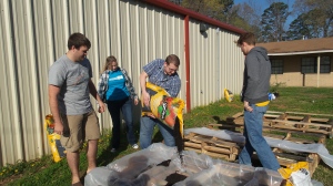 ARVAC's Audra Butler organized ATU students to take part in a garden work day. 